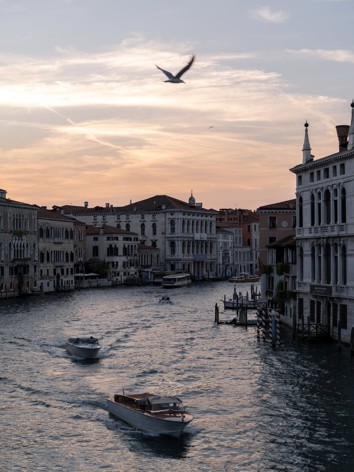 Venice