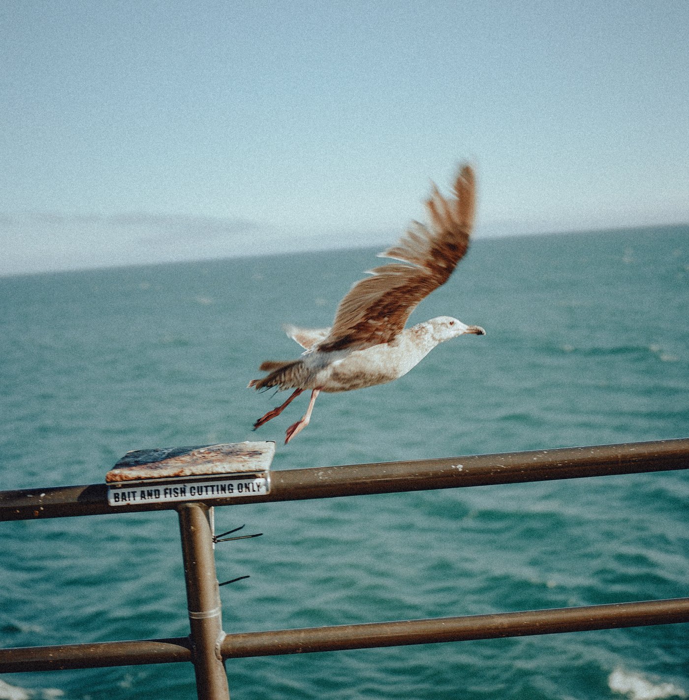 Set Sail