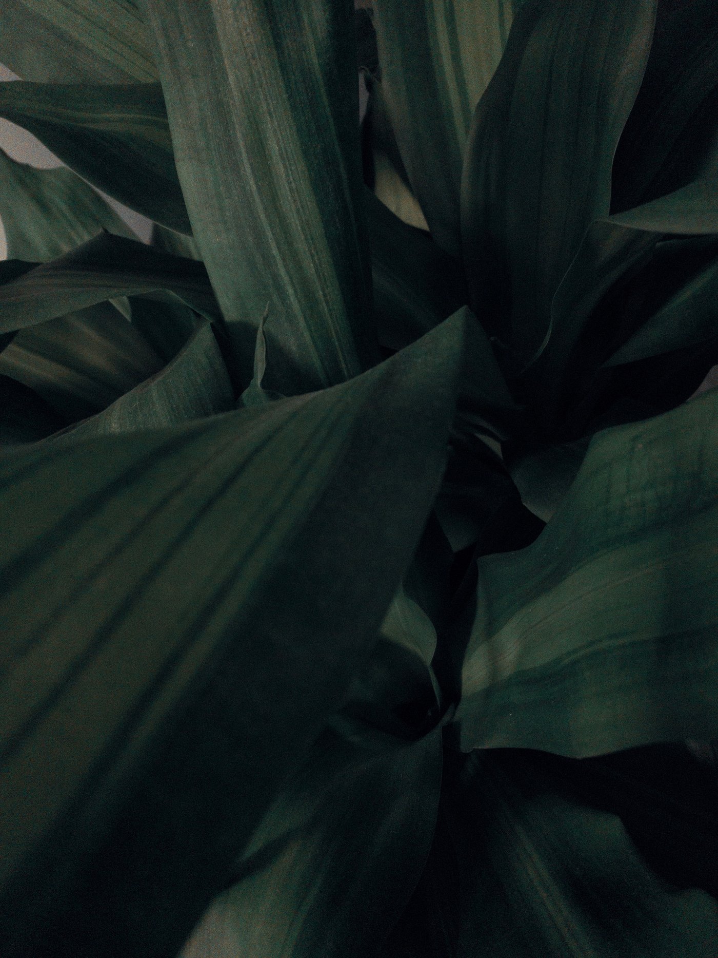 Green Grotto